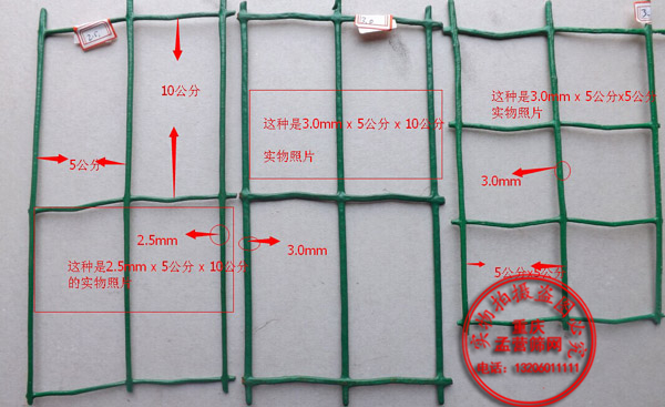 浸塑荷蘭網(wǎng)